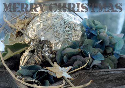 Weihnachtskarte-Postkarte_220